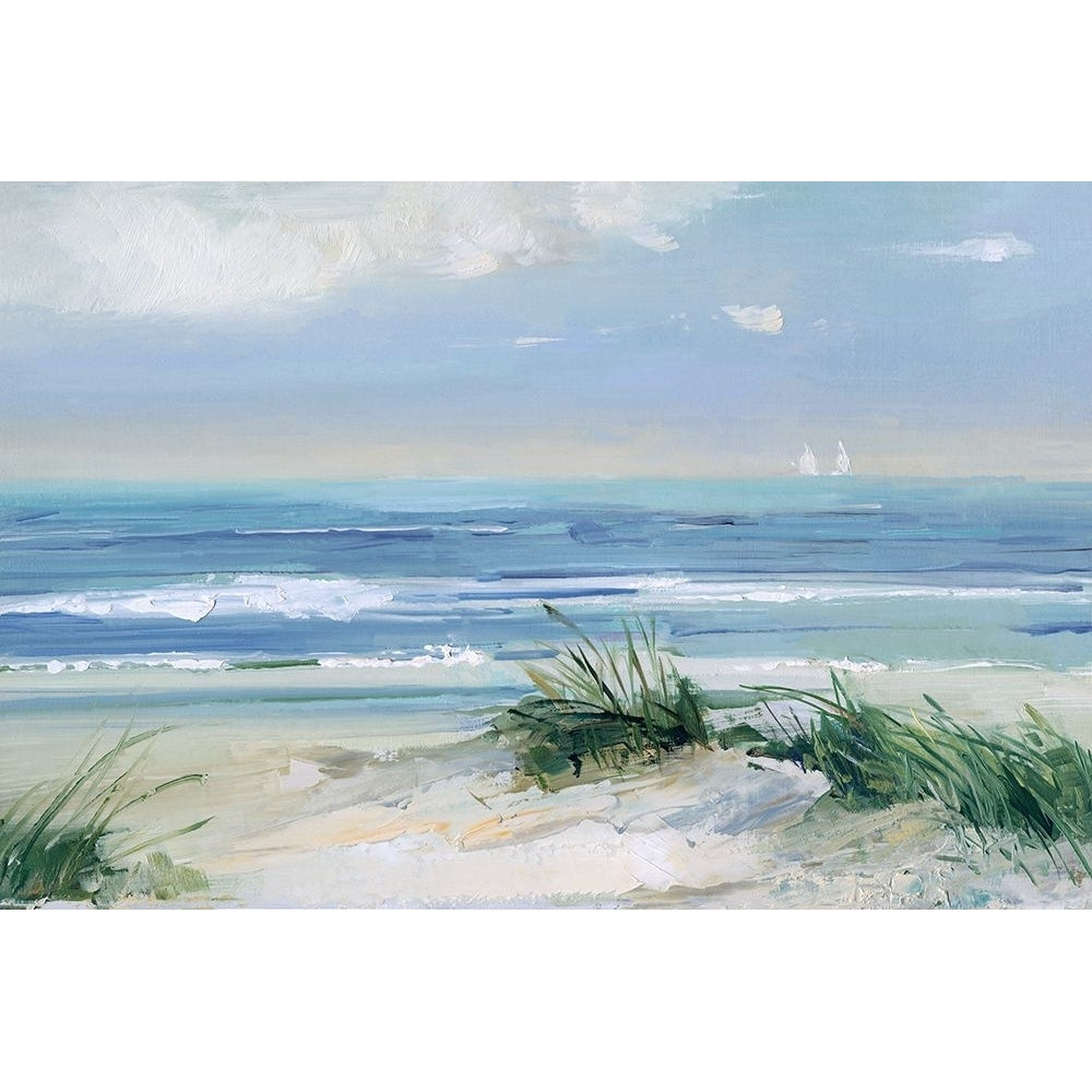 Coastal Breezes by Sally Swatland-VARPDX44293 Image 1