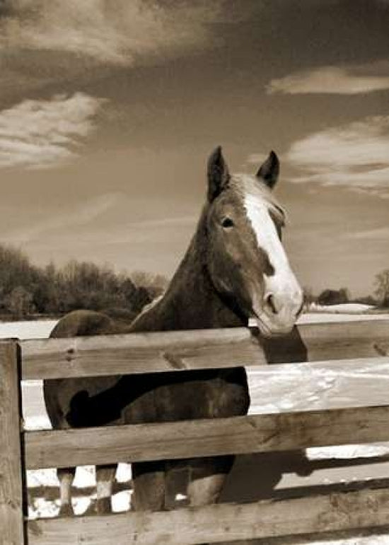 At the Ranch Poster Print by Amber Light Gallery-VARPDX442AMB1015 Image 1