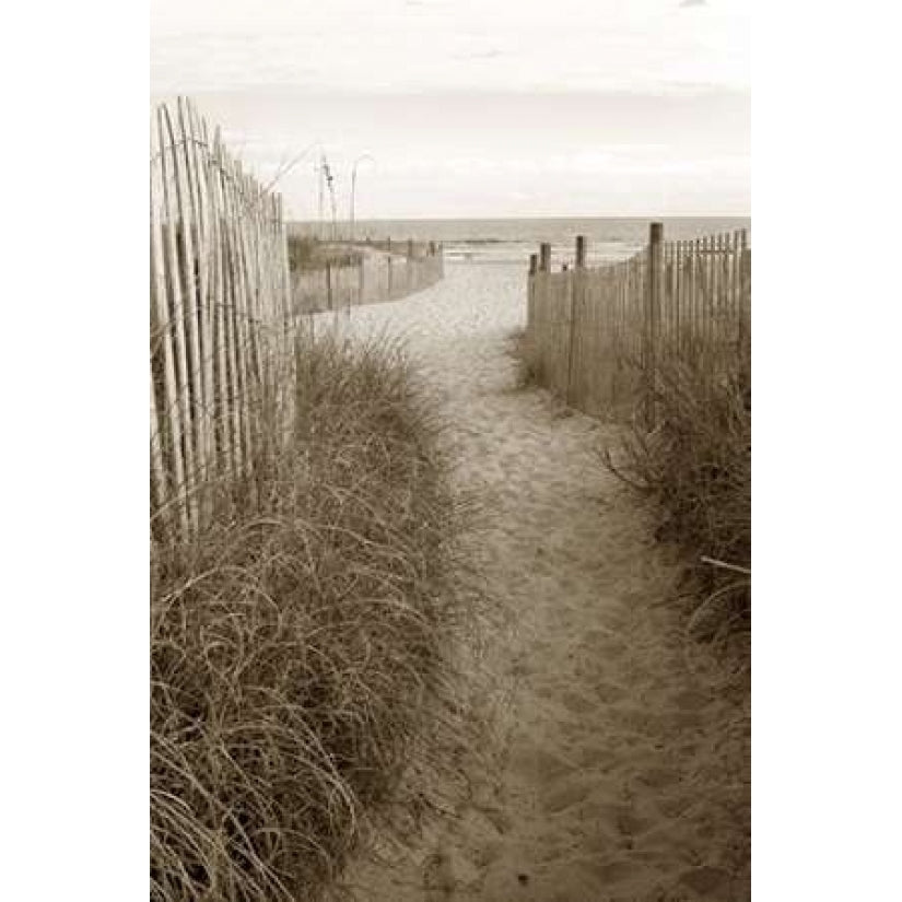 Beach Trail 1 Poster Print by Amber Light Gallery-VARPDX442AMB1019 Image 2