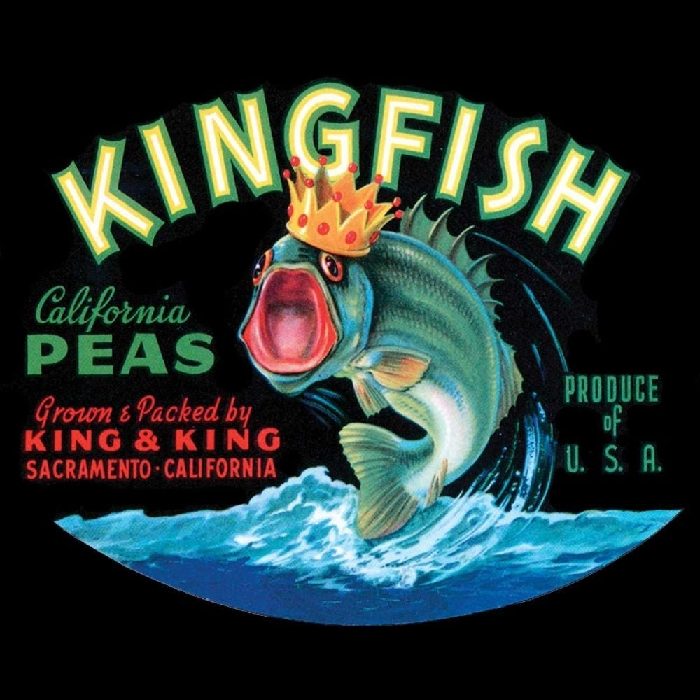 Kingfish Poster Print - Studio Vision-VARPDX44319D Image 1