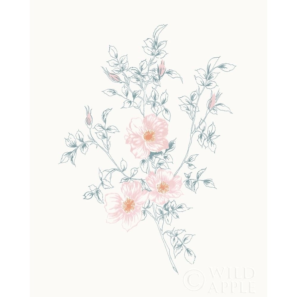 Flowers on White II Contemporary Poster Print by Wild Apple Portfolio-VARPDX44424 Image 1