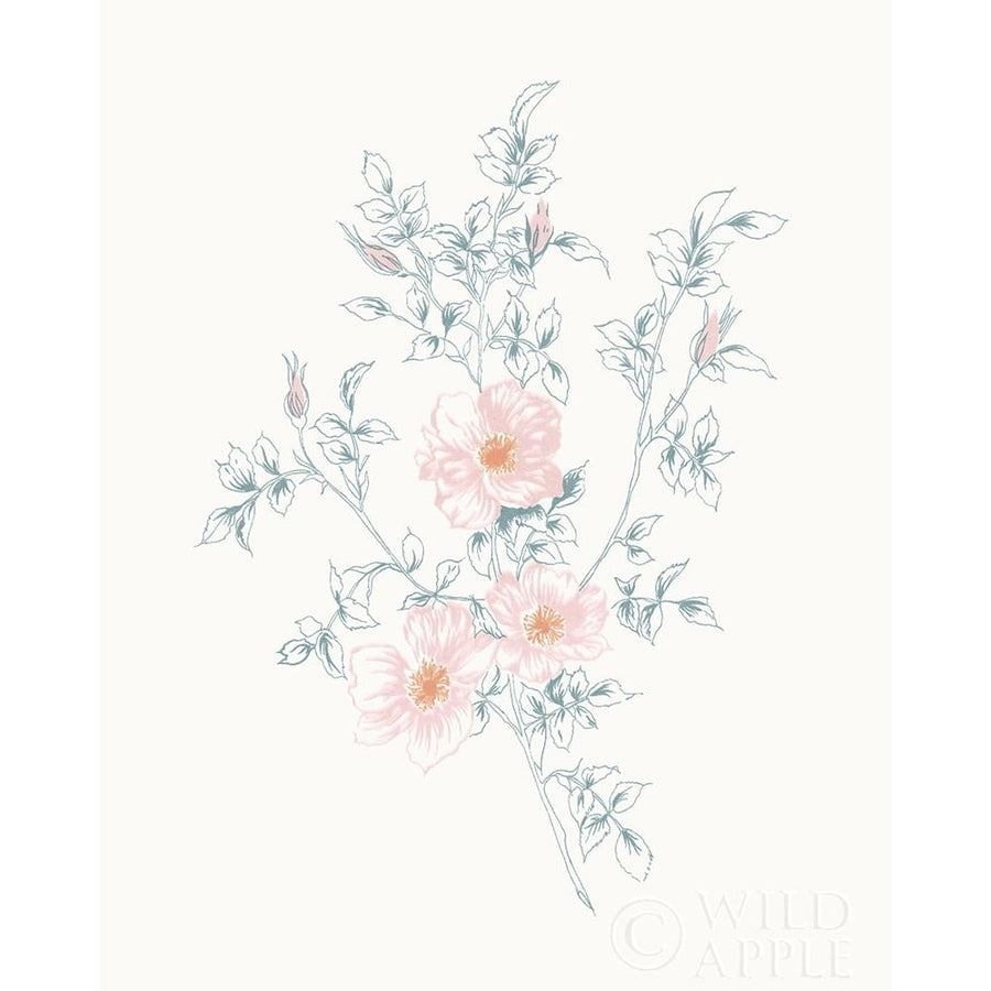 Flowers on White II Contemporary Poster Print by Wild Apple Portfolio-VARPDX44424 Image 1