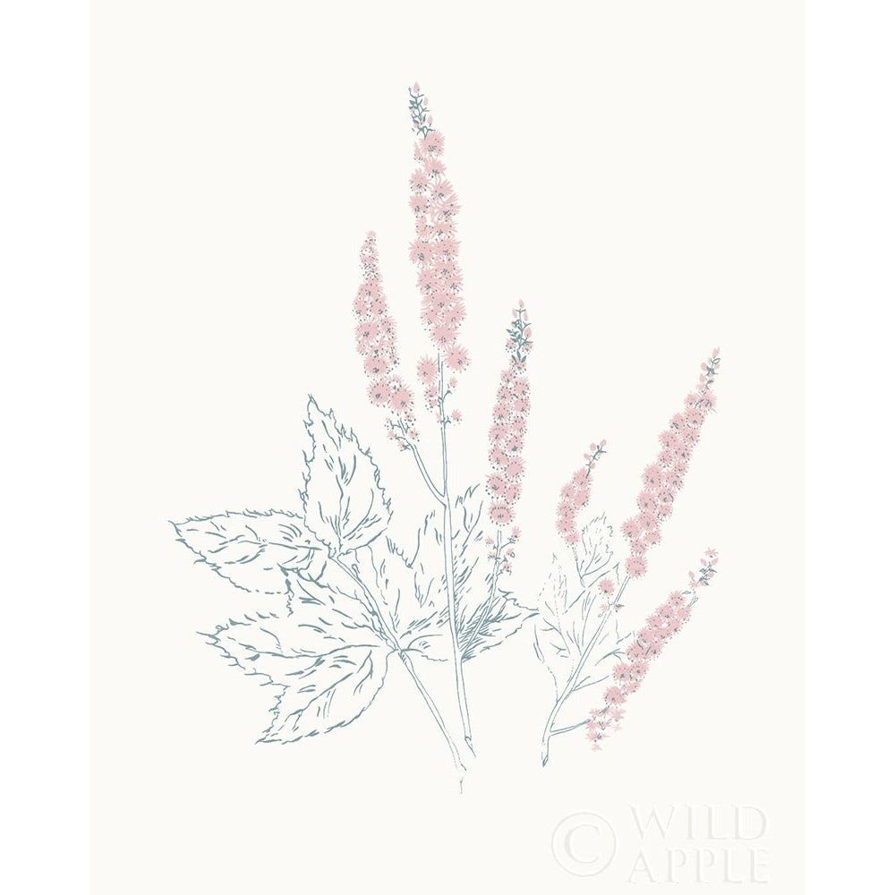 Flowers on White VII Contemporary Poster Print by Wild Apple Portfolio-VARPDX44428 Image 1