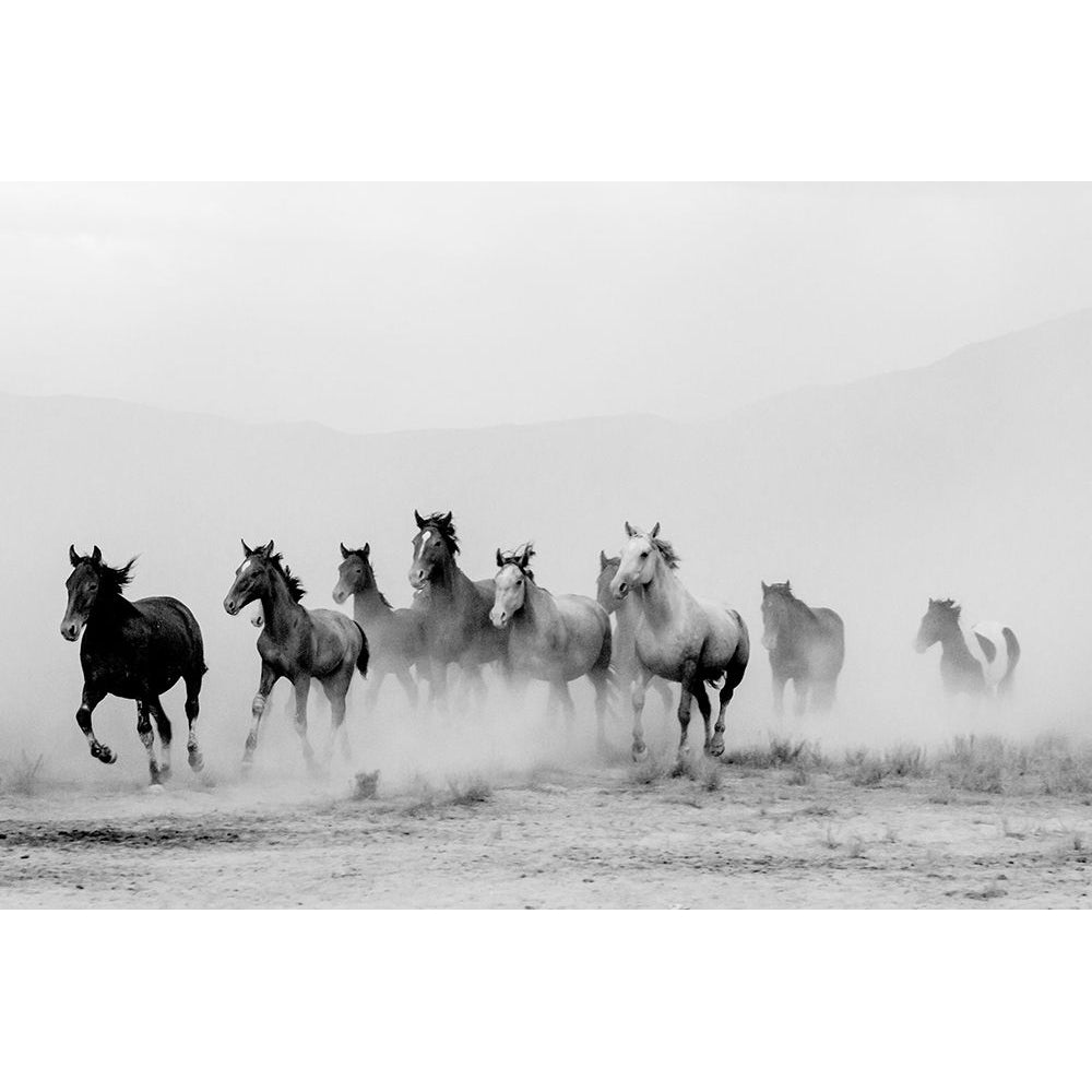 Tooele County by William D. Jaynes-VARPDX44487 Image 1