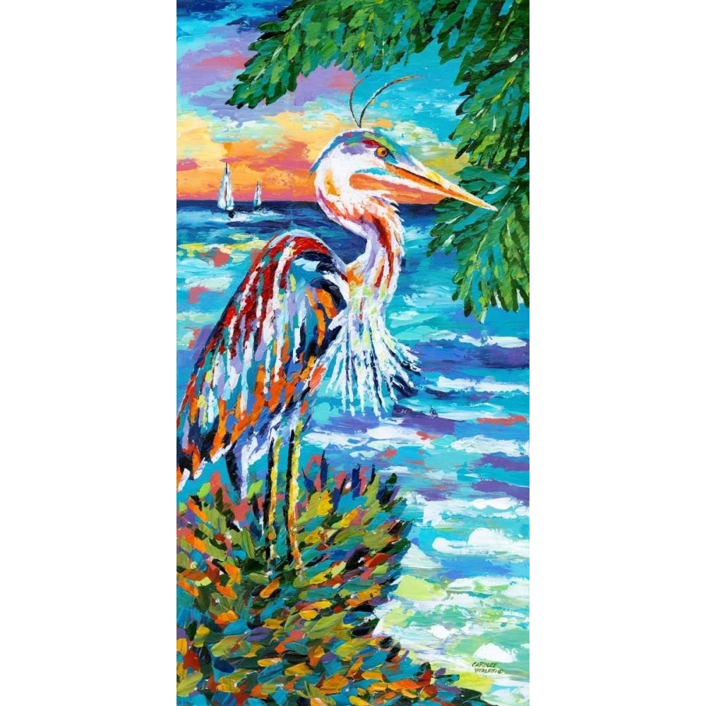 Beach Comber I Poster Print - Carolee Vitaletti-VARPDX44756GG Image 1