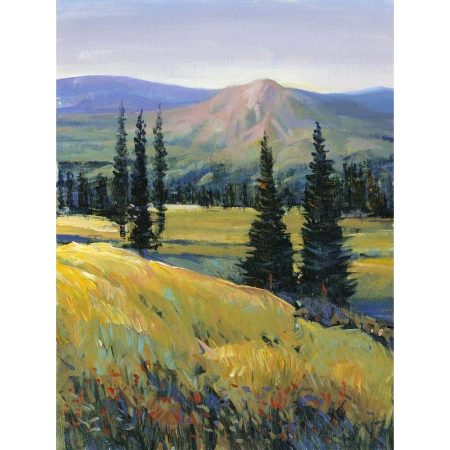 Purple Mountain Majesty II Poster Print - Tim OToole-VARPDX44771GG Image 1