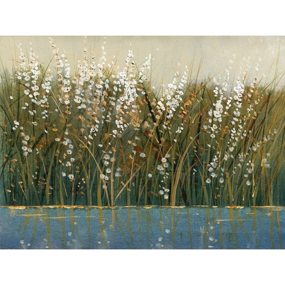 By the Tall Grass I Poster Print - Tim OToole-VARPDX44776GG Image 1