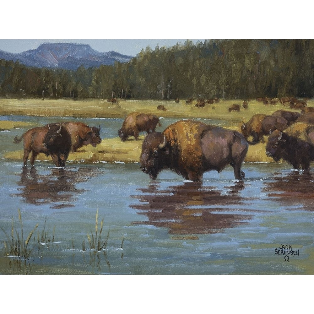 Buffalo Crossing Poster Print - Jack Sorenson-VARPDX44846GG Image 1