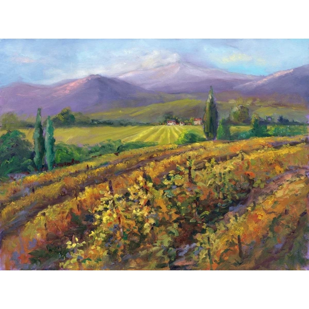 Vineyard Tapestry I Poster Print - Nanette Oleson-VARPDX44905Z Image 1