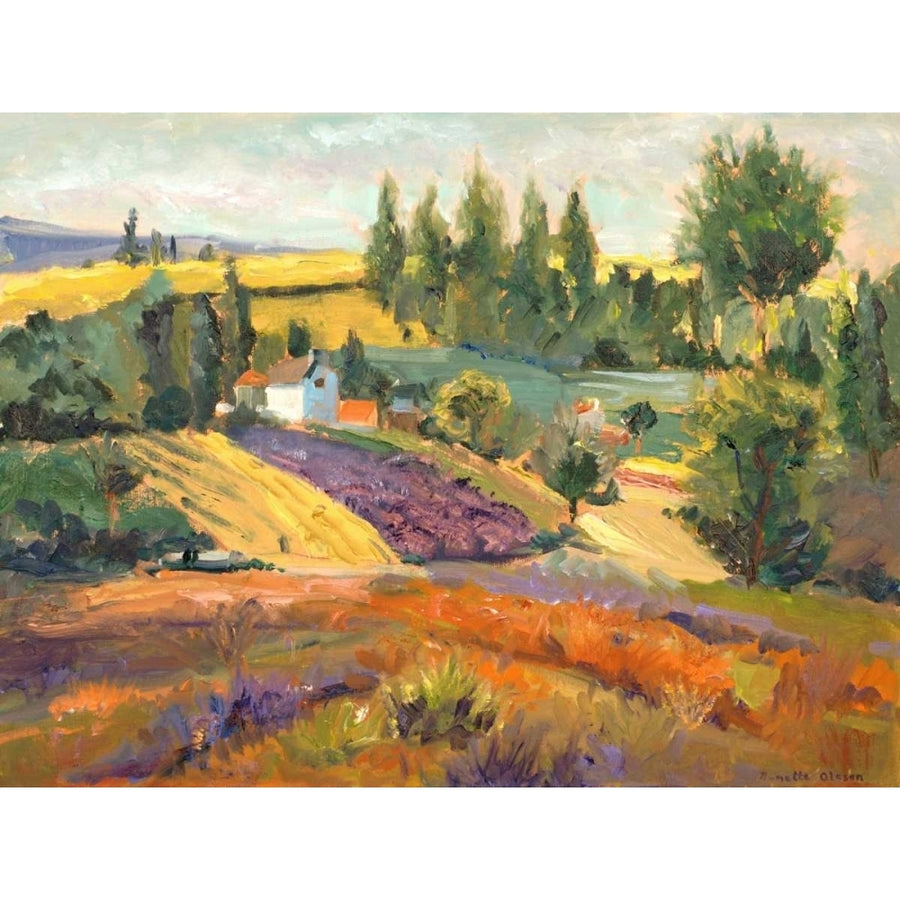 Vineyard Tapestry II Poster Print - Nanette Oleson-VARPDX44906Z Image 1