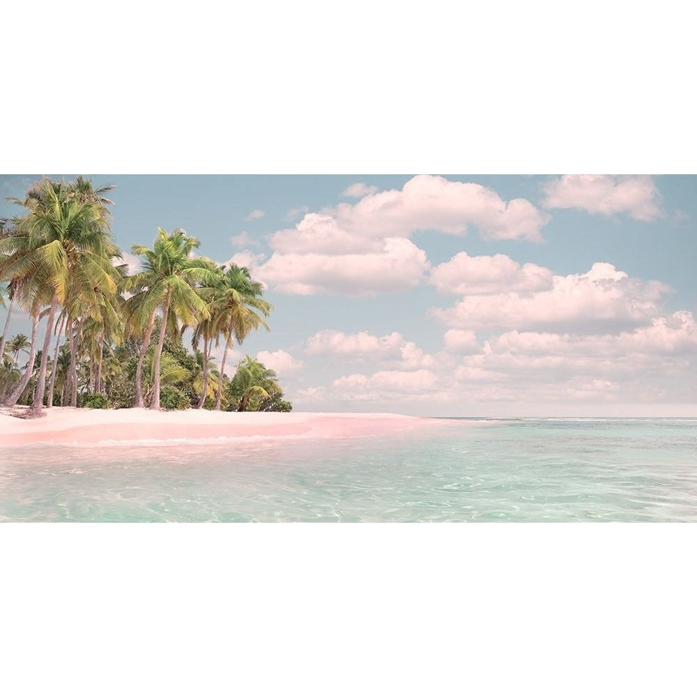 Pink Sand and Palms by Mike Calascibetta-VARPDX44948 Image 1