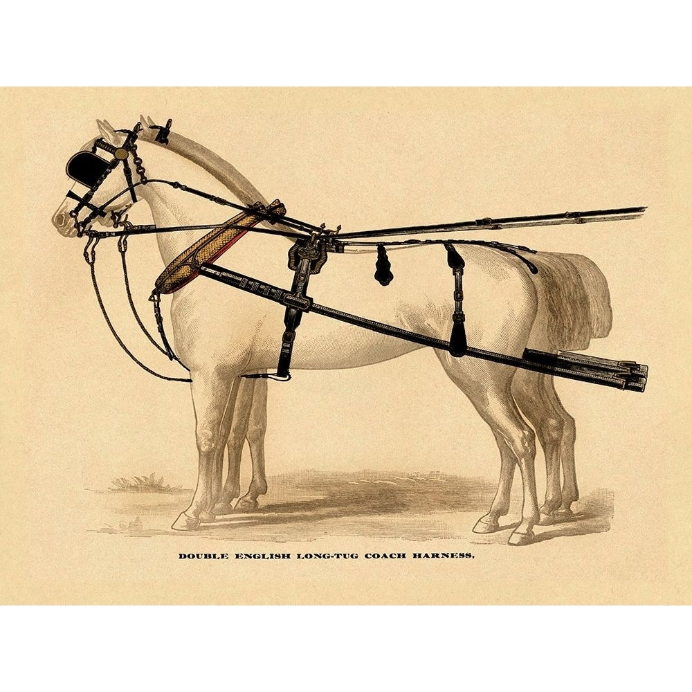 Saddles and Tack: Double English Long-Tug Coach Sport Competition Sports Play win score Harness Poster Print by Unknown Image 1