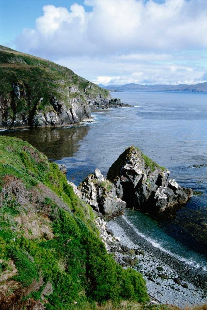 Cape Horn National Park southern tip of South America Patagonia Argentina Poster Print by Tui De Roy-VARPDX451459 Image 1