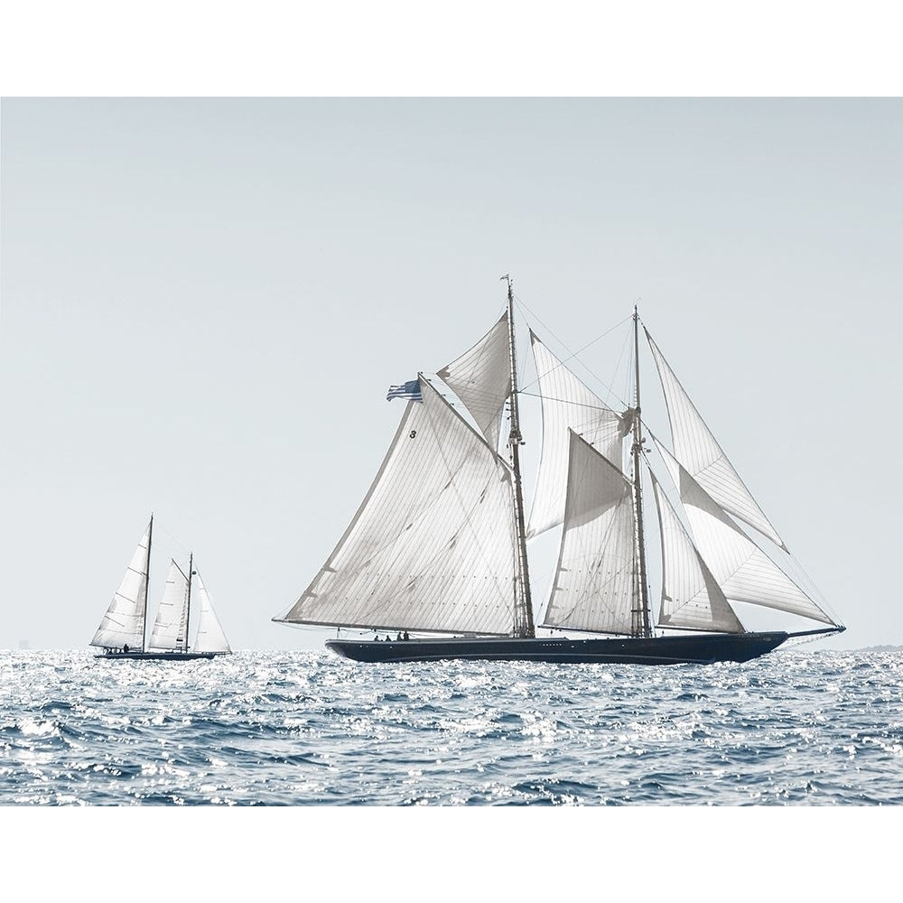 Cape Ann Sails Poster Print - Danita Delimont-VARPDX45200 Image 1