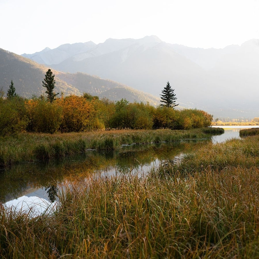 Fall Marshland Poster Print - Carol Robinson-VARPDX45215 Image 1