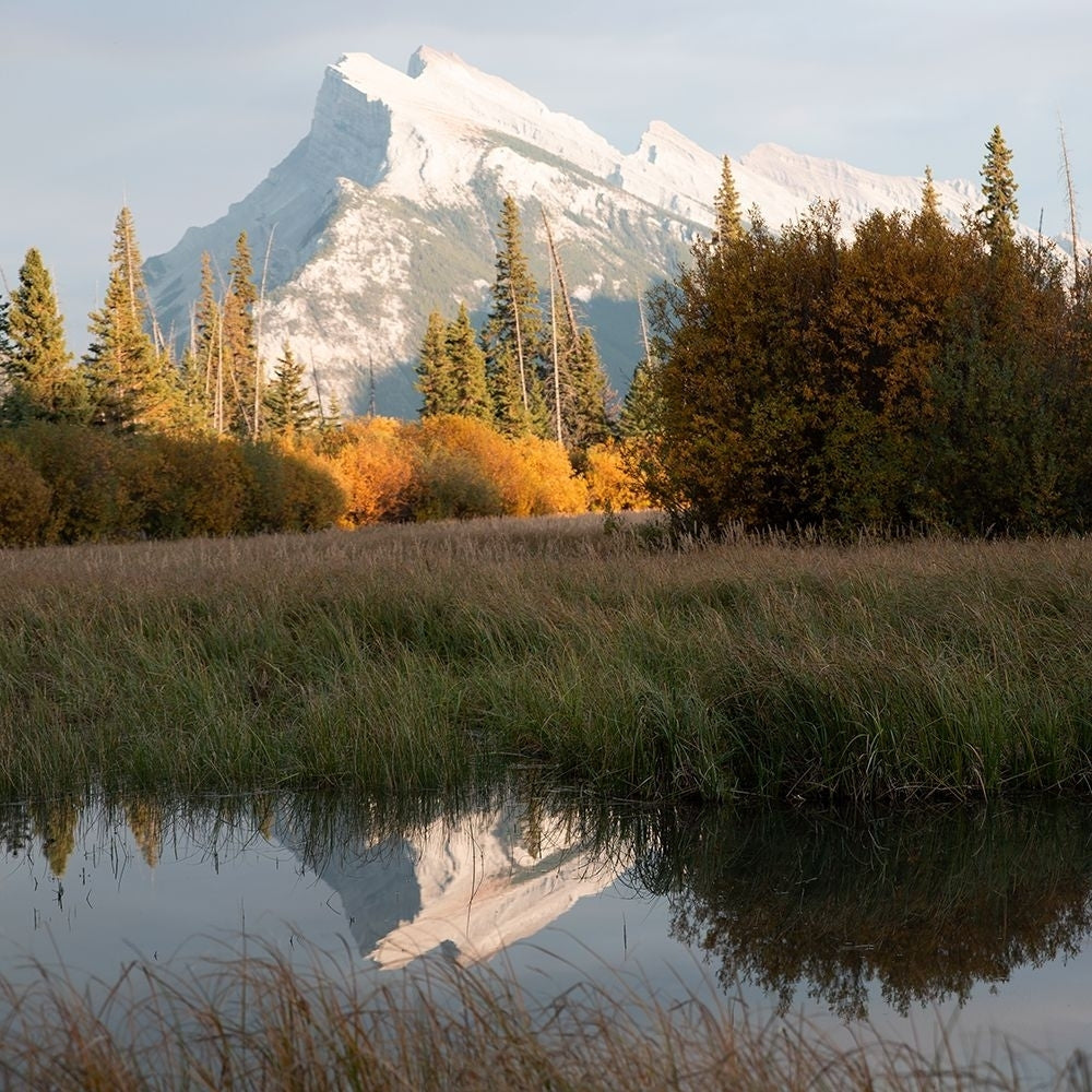 Mountain Reflection Poster Print - Carol Robinson-VARPDX45222 Image 1