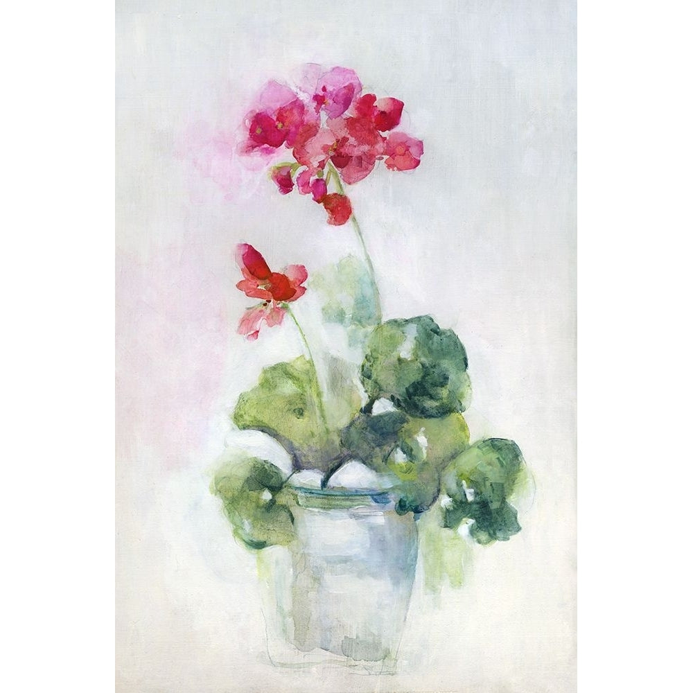 Soft Geranium I Poster Print - Sally Swatland-VARPDX45223 Image 1