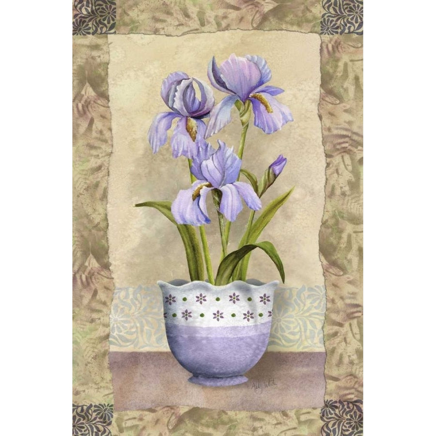 Spring Iris Poster Print - Abby White-VARPDX45314D Image 1