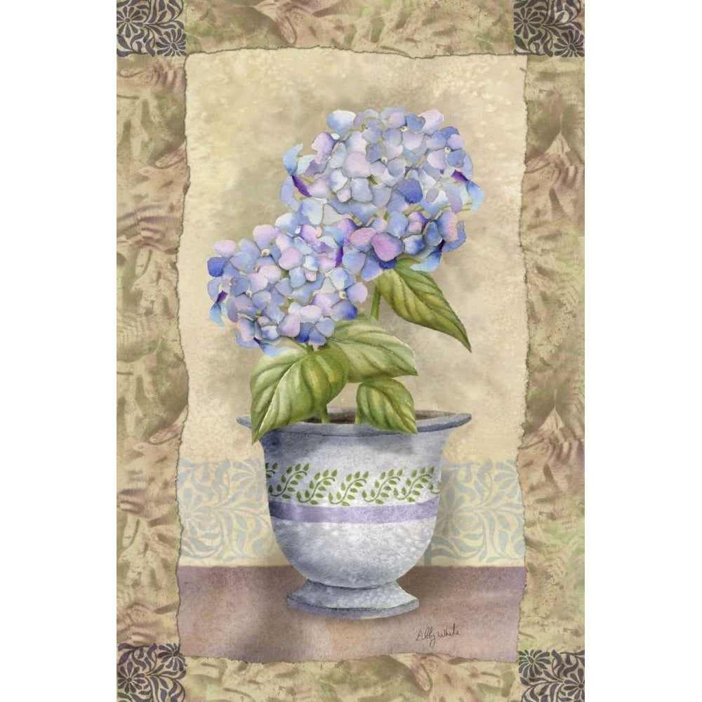 Spring Hydrangea Poster Print - Abby White-VARPDX45315D Image 1