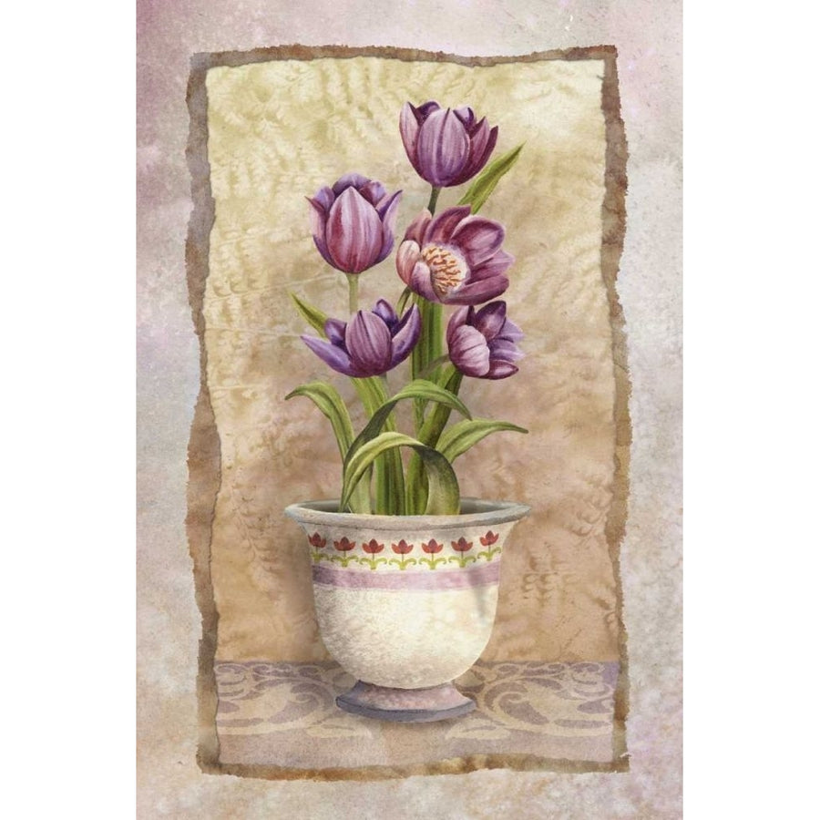 Spring Tulips Poster Print - Abby White-VARPDX45317D Image 1