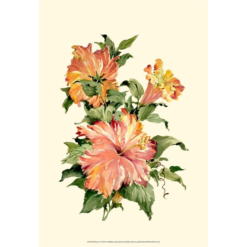 Hibiscus I Poster Print - Joy Waldman-VARPDX45324D Image 1