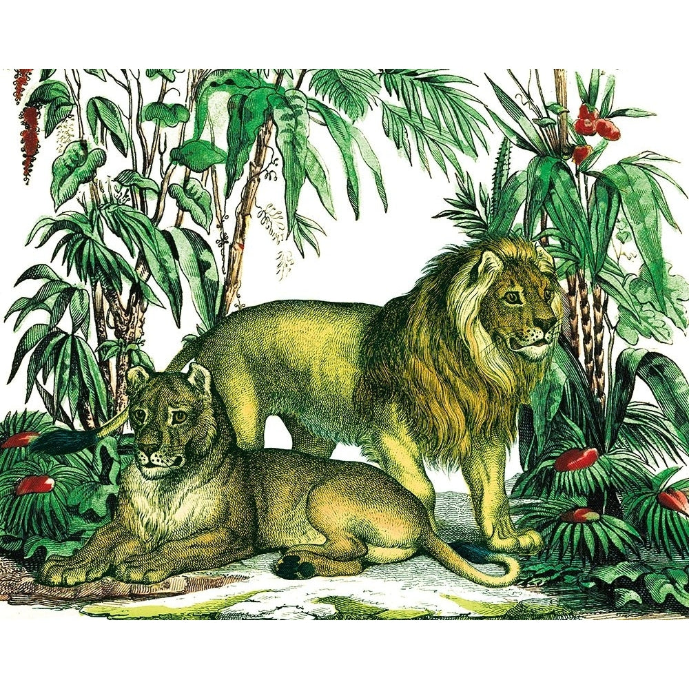 Jungle Flair VI Poster Print by Wild Apple Portfolio-VARPDX45406 Image 1