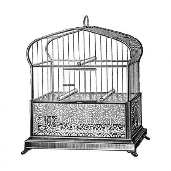 Etchings: Birdcage - Onion-peak top filigree pattern base Poster Print by Catalog Illustration -VARPDX454810 Image 1