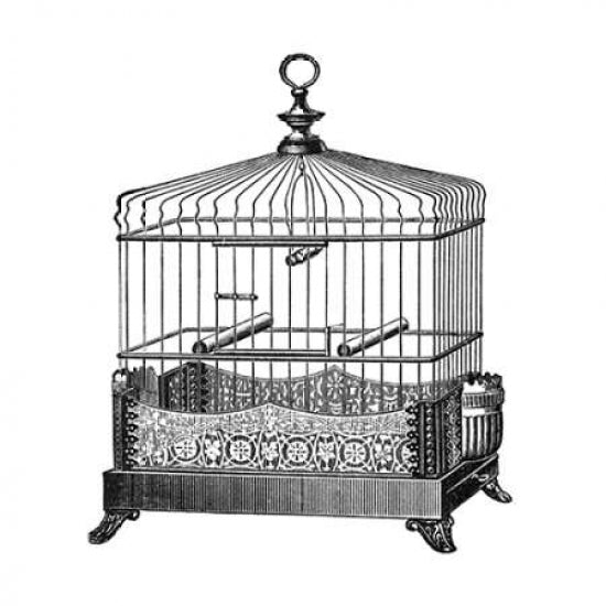 Etchings: Birdcage - Filigree base. Poster Print by Catalog Illustration -VARPDX454809 Image 1