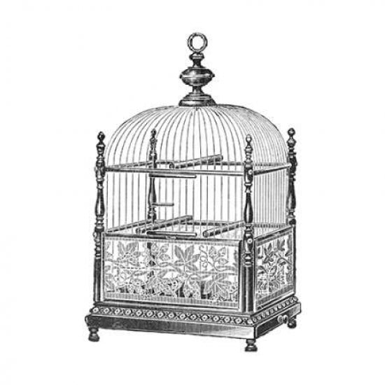 Etchings: Birdcage - Dome top spindle corners vine detail base. Poster Print by Catalog Illustration -VARPDX454826 Image 1