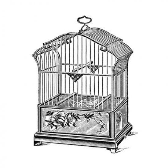 Etchings: Birdcage - Gable top rose base. Poster Print by Catalog Illustration -VARPDX454827 Image 2