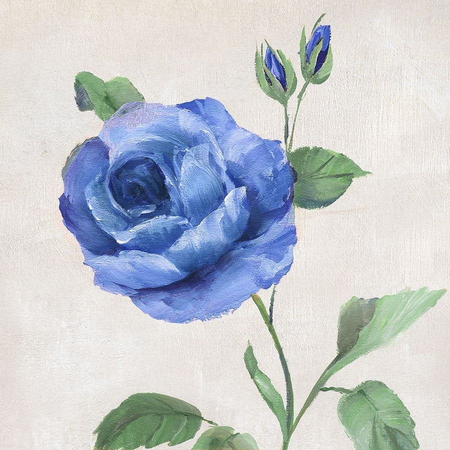 Blue Grandiflora I Poster Print - Nan-VARPDX45526 Image 1