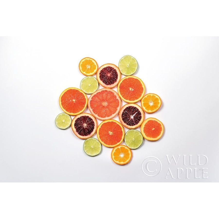 Sunny Citrus I Poster Print by Felicity Bradley-VARPDX45708 Image 1