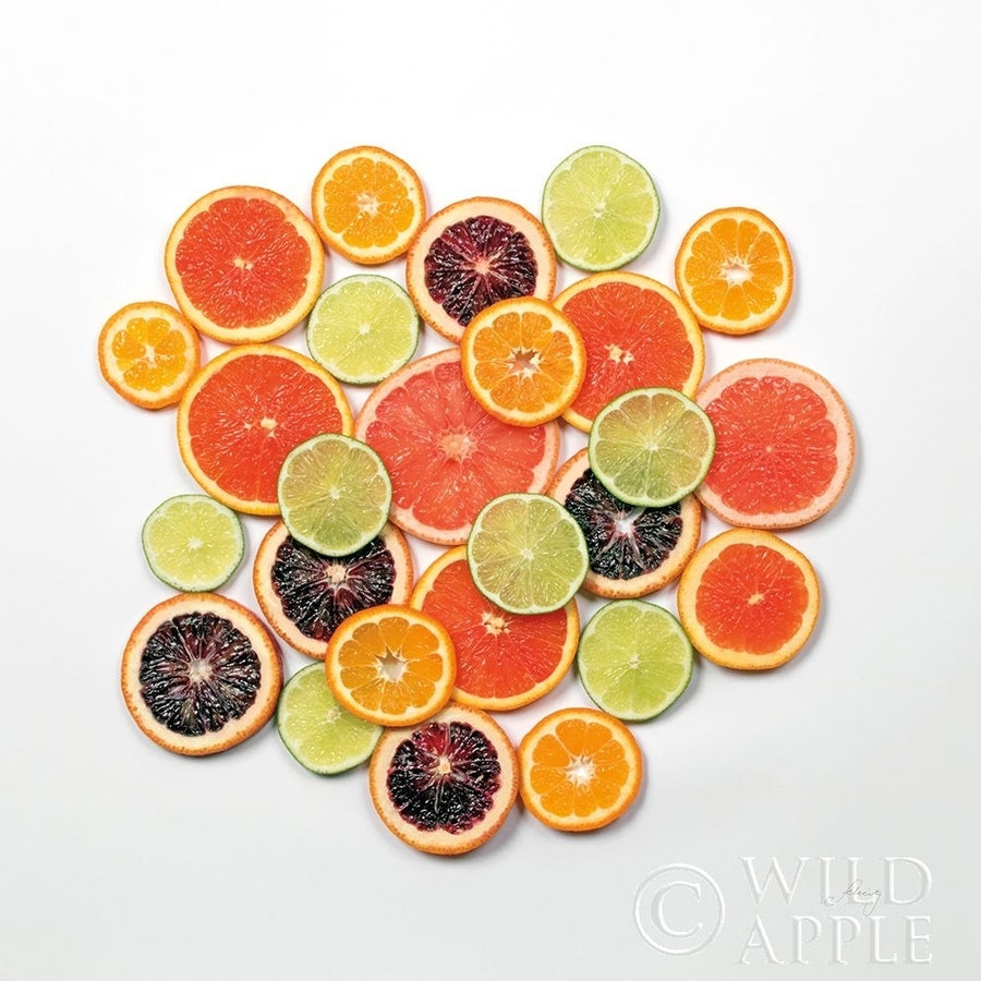 Sunny Citrus II Crop Poster Print by Felicity Bradley-VARPDX45710 Image 1