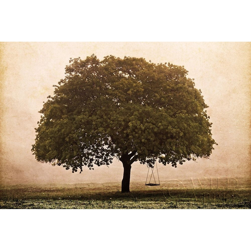 The Hopeful Oak Poster Print by Debra Van Swearingen-VARPDX45741 Image 1