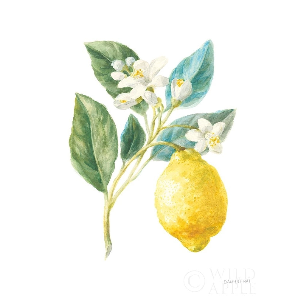 Floursack Lemon I on White Poster Print by Danhui Nai-VARPDX45787 Image 1