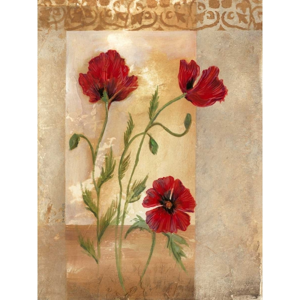 Red Poppies IV Poster Print - Marianne D. Cuozzo-VARPDX45881D Image 1