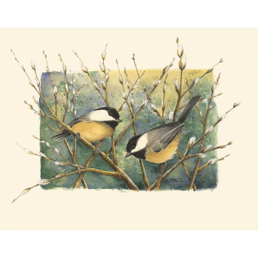 Chickadees and Pussy Willow Poster Print - Janet Mandel-VARPDX45884D Image 1