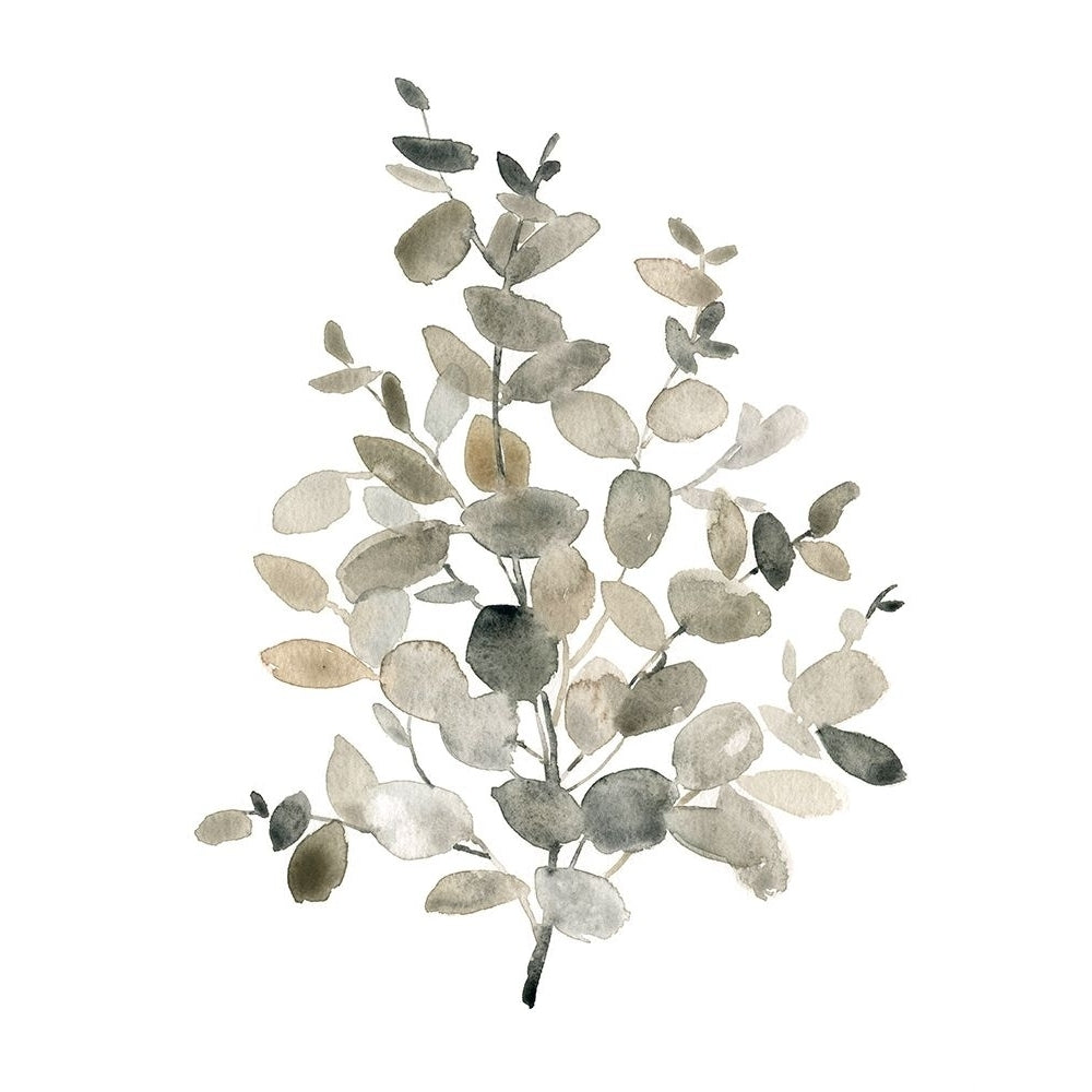 Neutral Eucalyptus II by Carol Robinson-VARPDX45896 Image 1