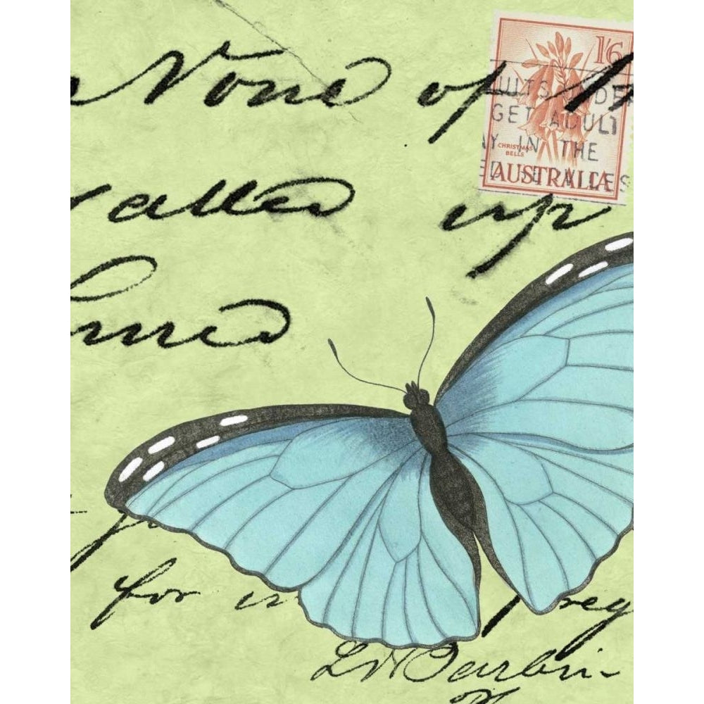 Le Papillon Script III Poster Print - Studio Vision-VARPDX45901D Image 1