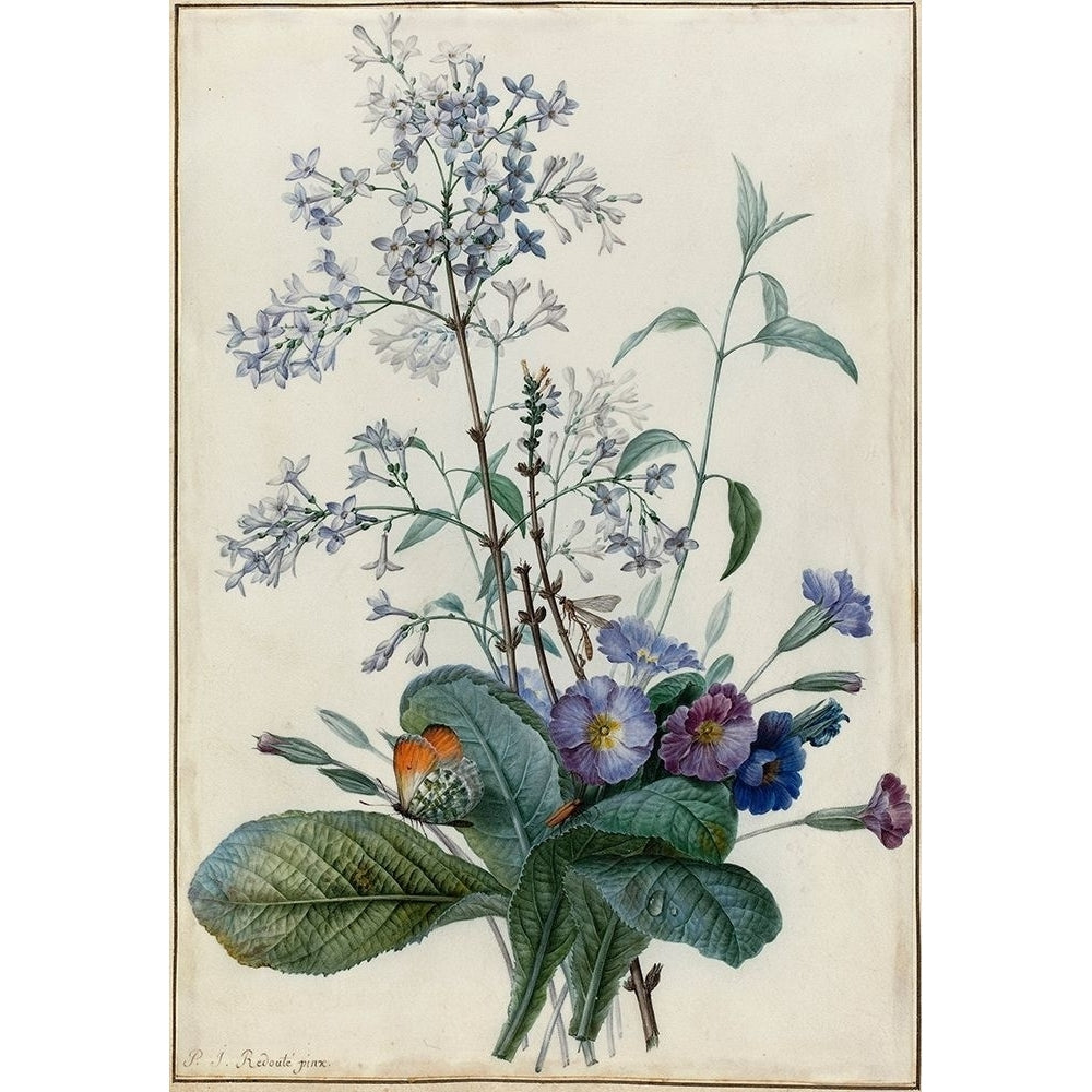 A Bouquet of Flowers with Insects Poster Print by Pierre Joseph Redoute-VARPDX459371 Image 1