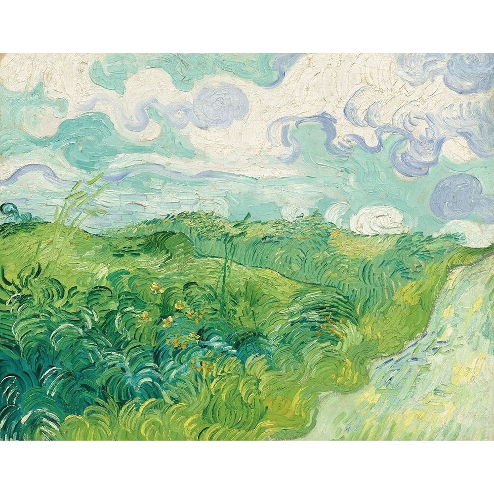 Green Wheat Fields Auvers 1890 Poster Print by Vincent Van Gogh-VARPDX459377 Image 1