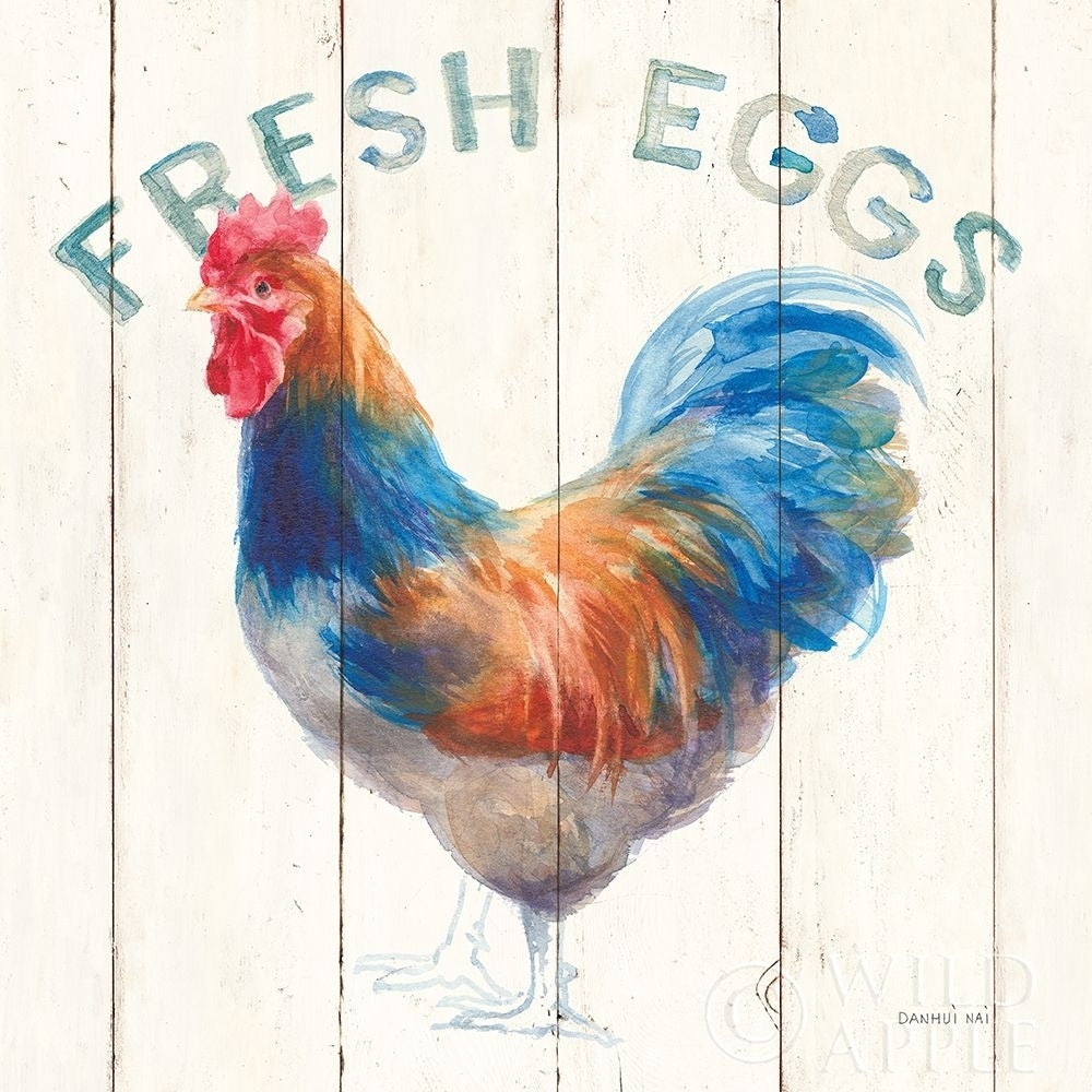 Fresh Eggs Hen Poster Print by Danhui Nai-VARPDX46169 Image 1