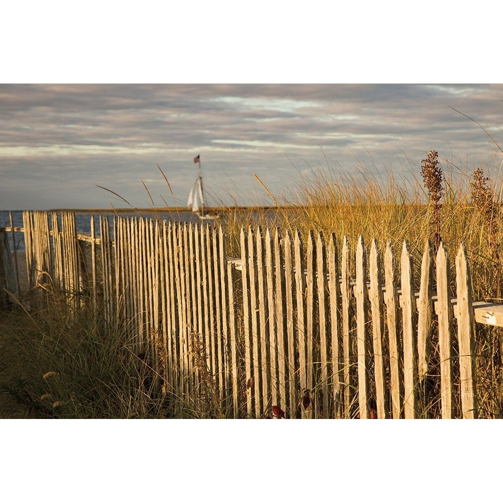 Along the Fence I Poster Print by Aledanda-VARPDX46208 Image 1