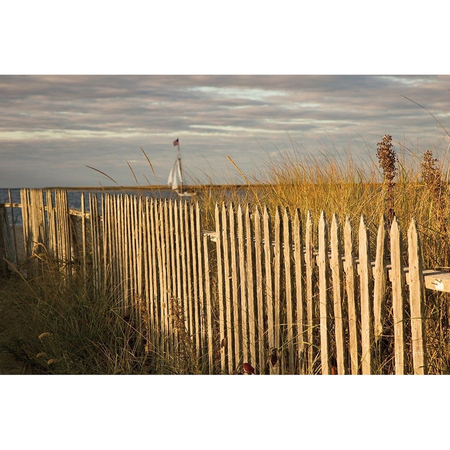 Along the Fence I Poster Print by Aledanda-VARPDX46208 Image 1