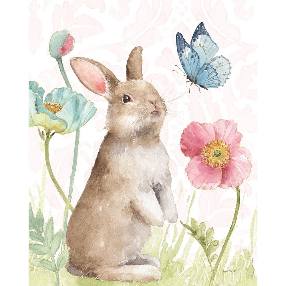 Spring Softies Bunnies II Pink Poster Print by Lisa Audit-VARPDX46216 Image 1