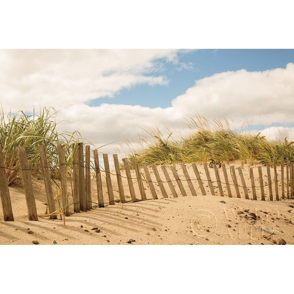 Beach Dunes I Poster Print by Aledanda Aledanda-VARPDX46210 Image 1