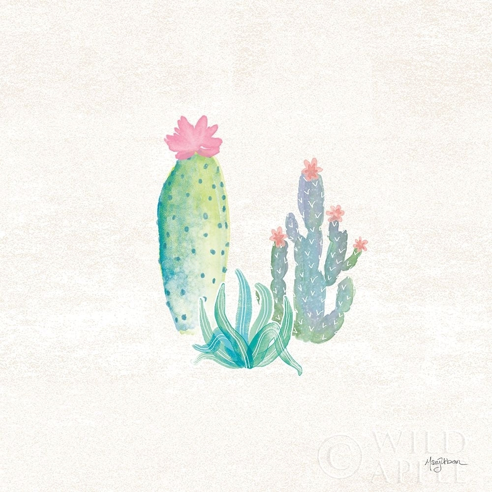 Bohemian Cactus V Poster Print by Mary Urban-VARPDX46235 Image 1