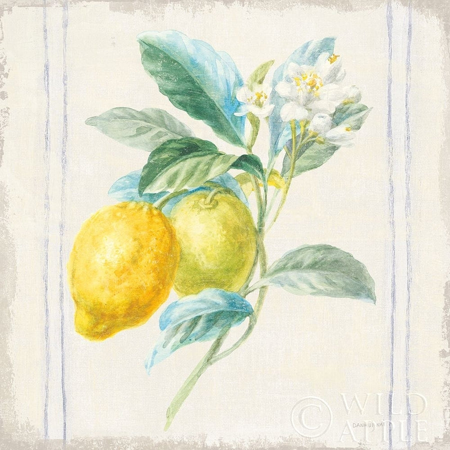 Floursack Lemons II Sq Navy Poster Print by Danhui Nai-VARPDX46395 Image 1