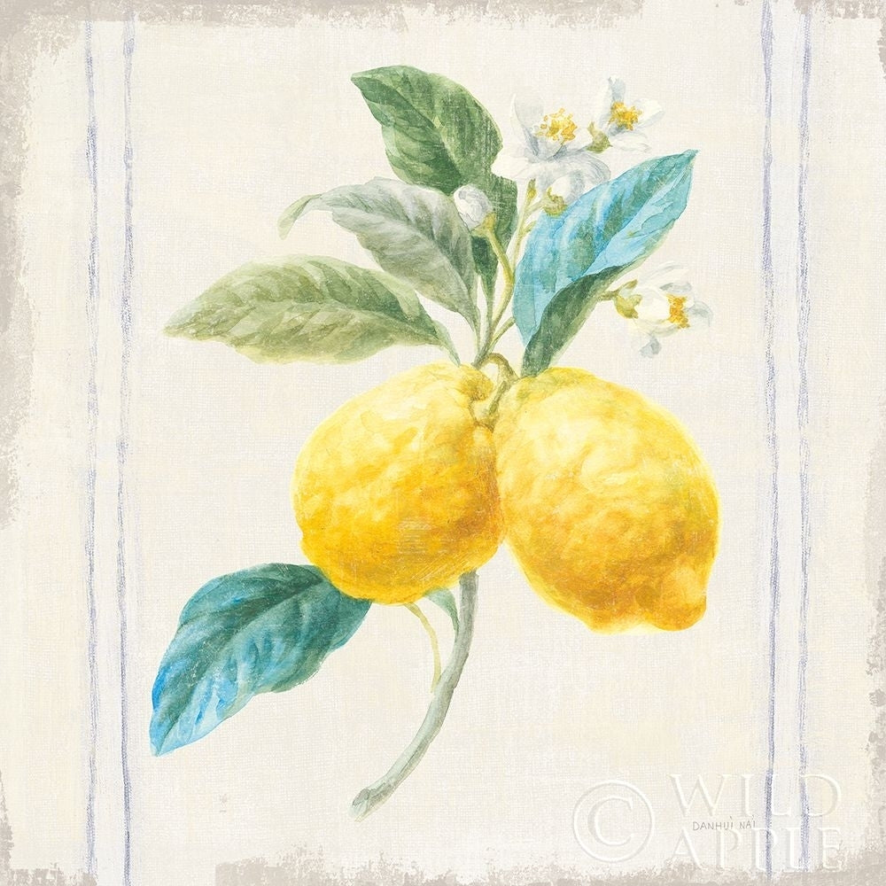 Floursack Lemons III Sq Navy Poster Print by Danhui Nai-VARPDX46396 Image 1