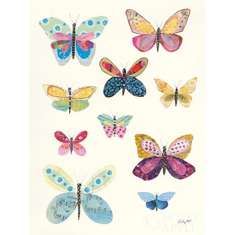 Butterfly Charts I Poster Print by Courtney Prahl-VARPDX46883 Image 1